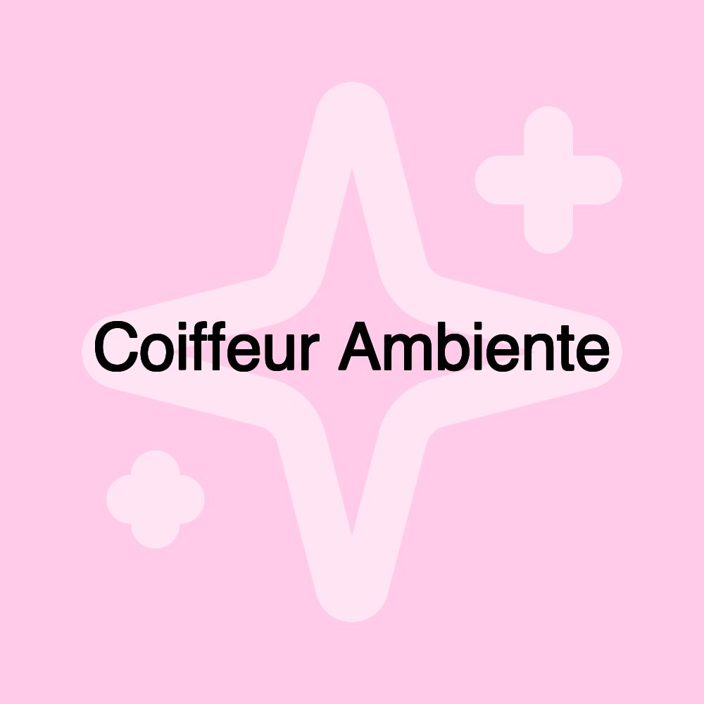 Coiffeur Ambiente