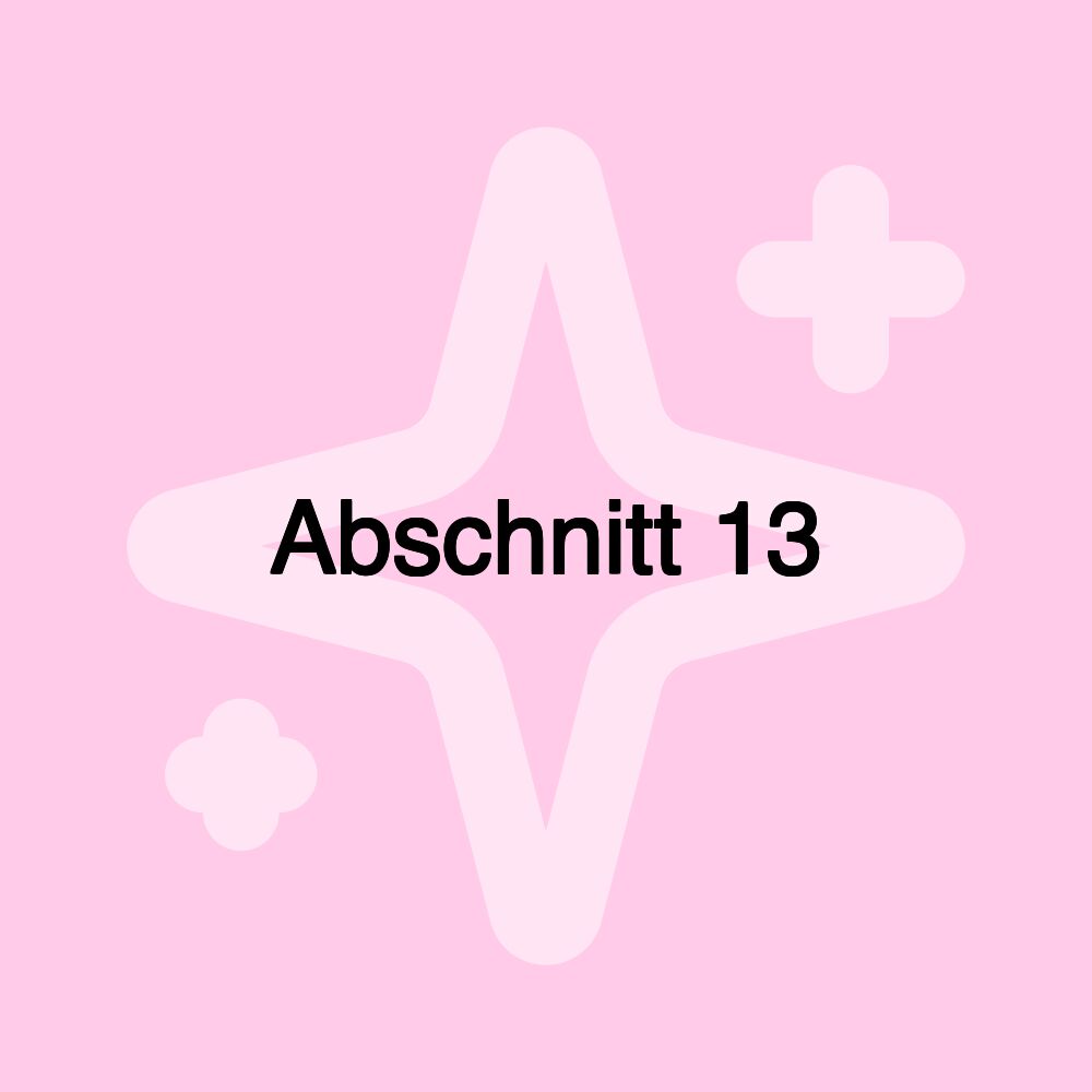 Abschnitt 13