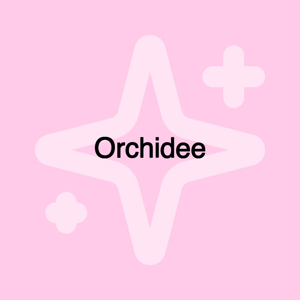 Orchidee