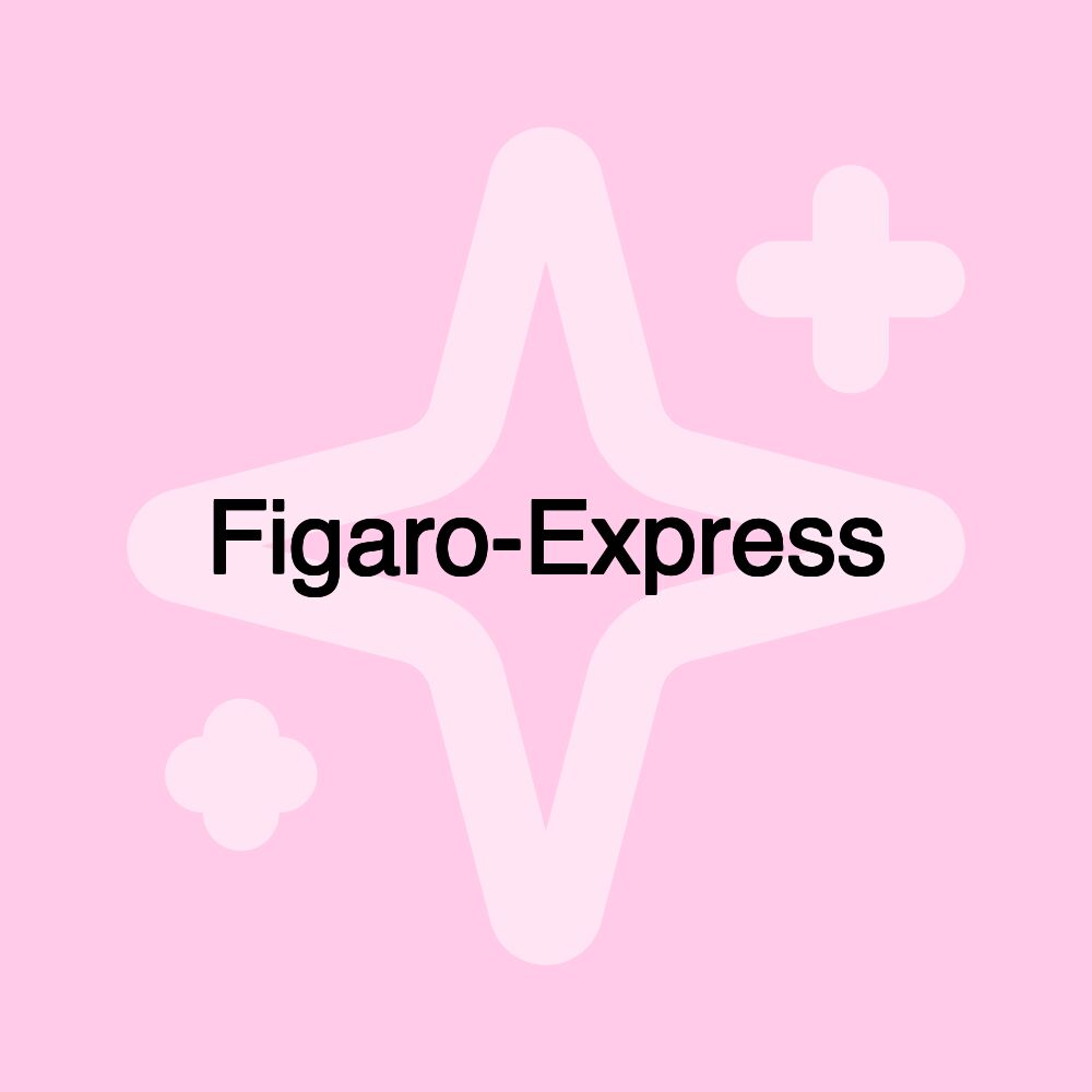 Figaro-Express