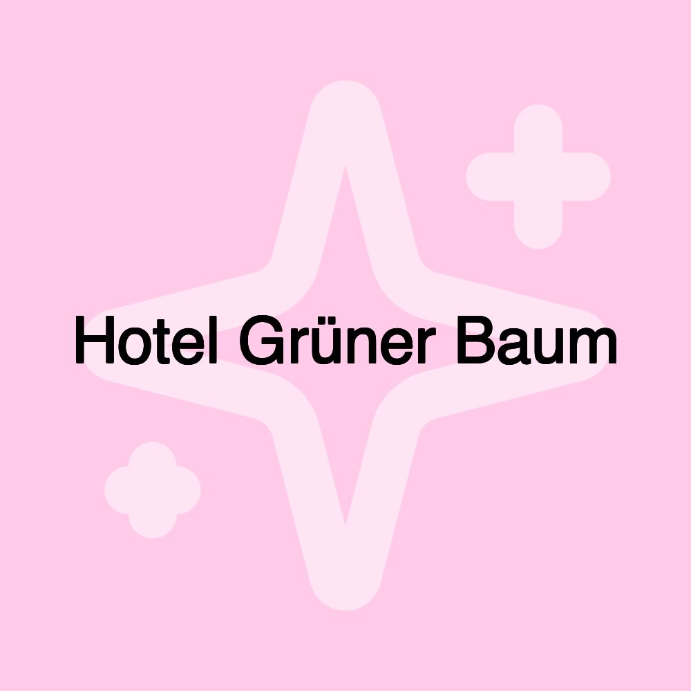 Hotel Grüner Baum